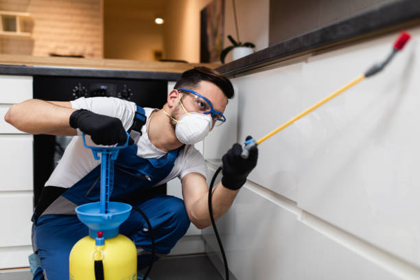 Best Cockroach Control Services  in Forest Ranch, CA