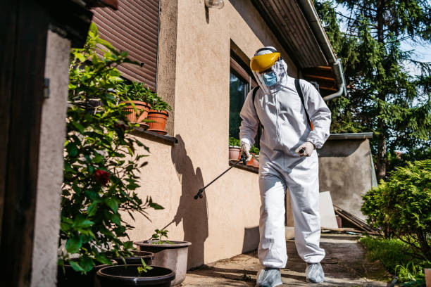 Wasp Removal Services in Forest Ranch, CA