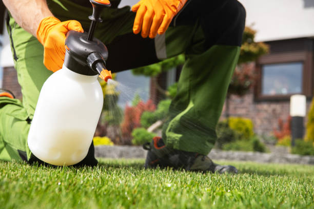 Best Wildlife Control Services  in Forest Ranch, CA