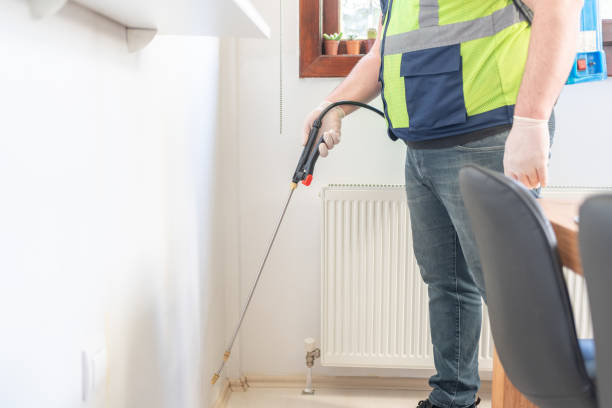 Best Flea Control Services  in Forest Ranch, CA
